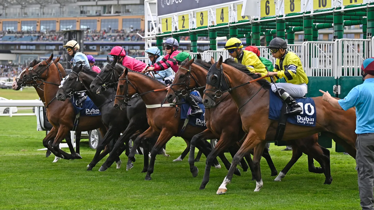 Ascot Shergar Cup Day 8 August featuring the Dubai Duty Free Shergar Cup at Ascot Racecourse