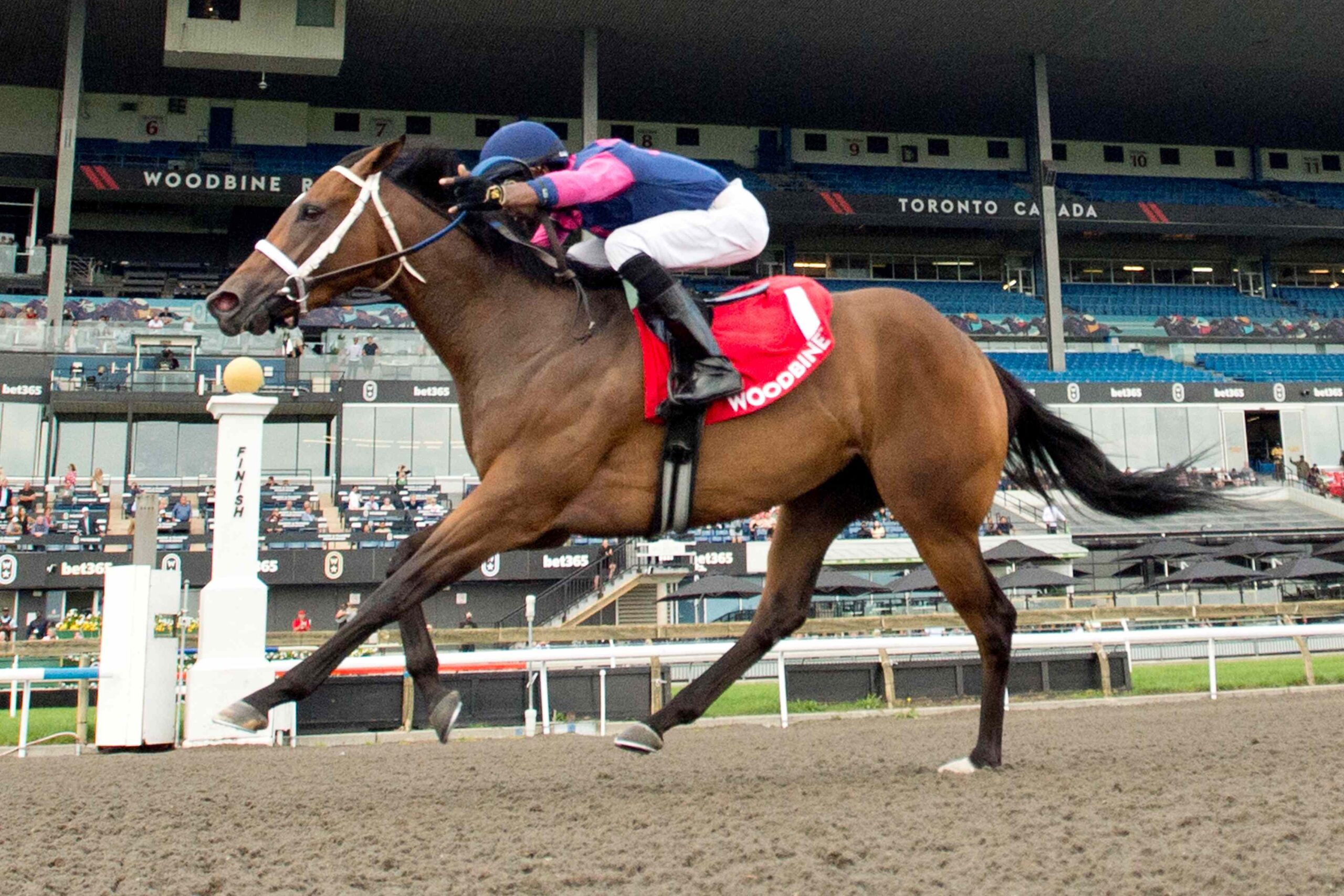Brandy and Me winning the Algoma Stakes at Woodbine