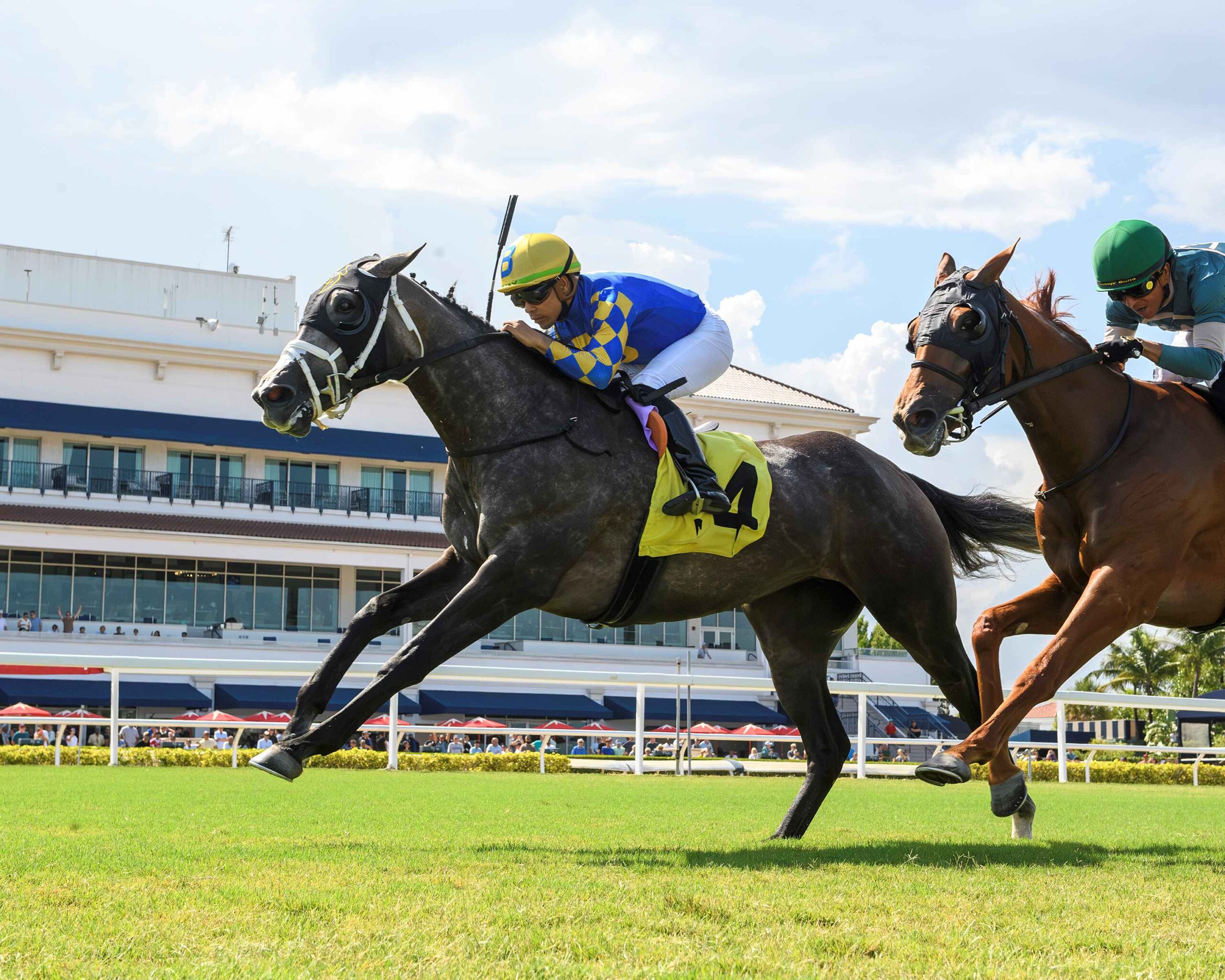 Call the Bullpen and Samy Camacho winning the Miss Gracie at Gulfstream Park