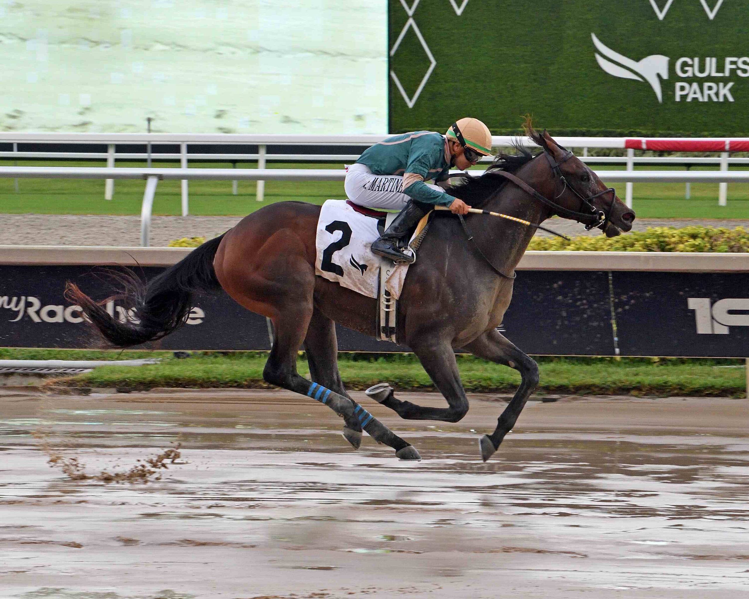 Won for Lou prepares for the Bear’s Den Stakes at Gulfstream Park