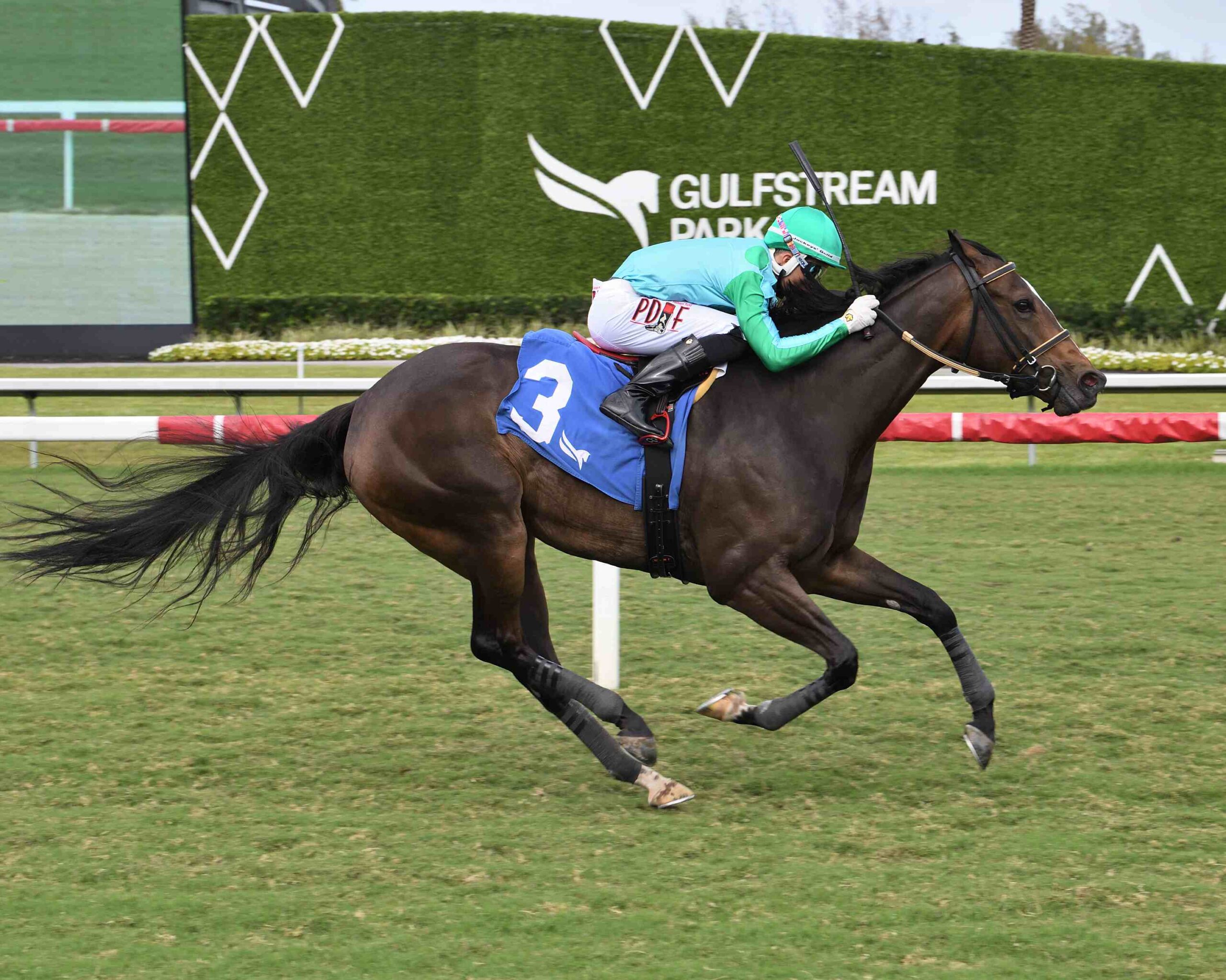 Do Gooder returns to Gulfstream Park turf for Frolic’s Revenge