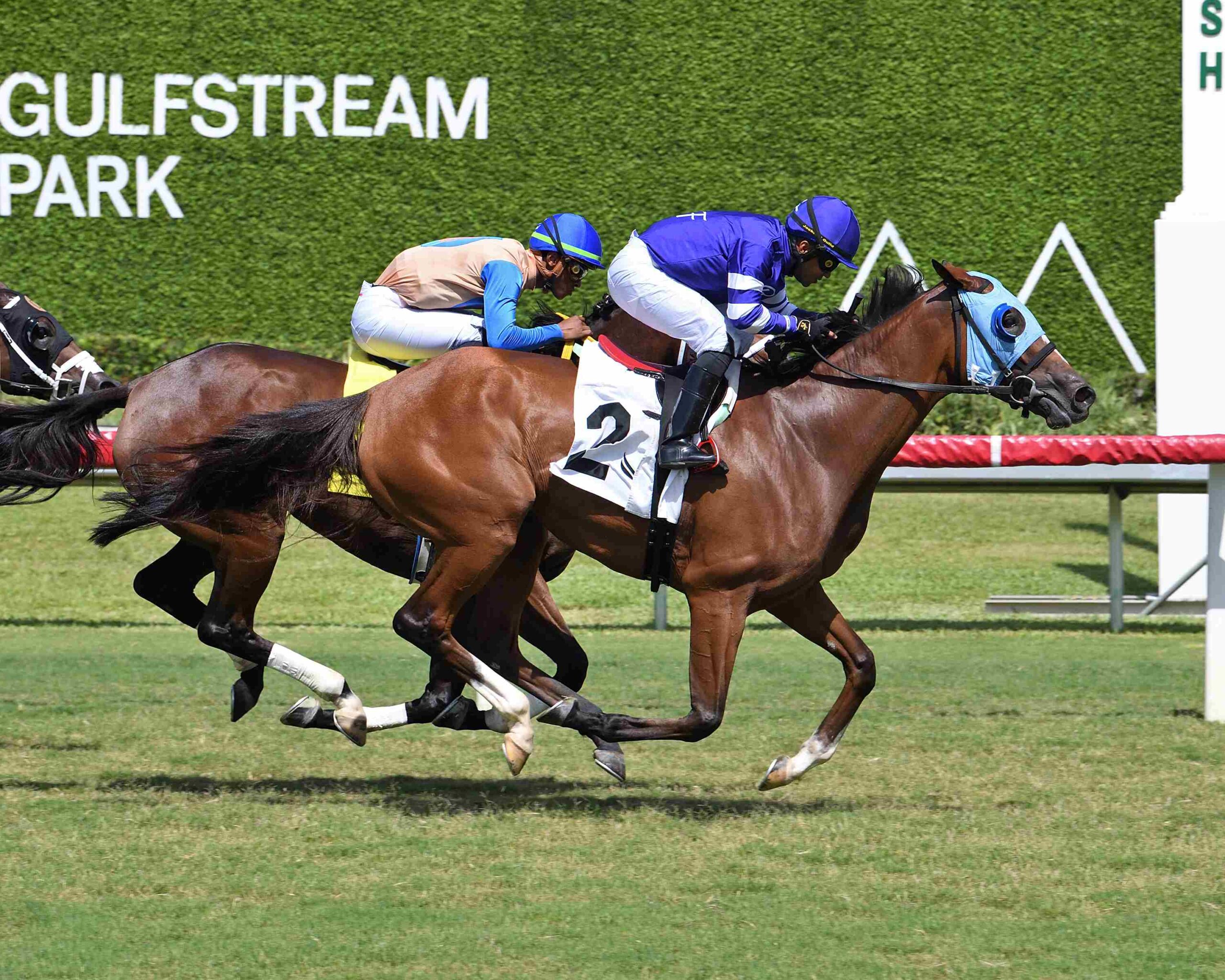 Fantasy Performer finishing strongly to win at Gulfstream Park
