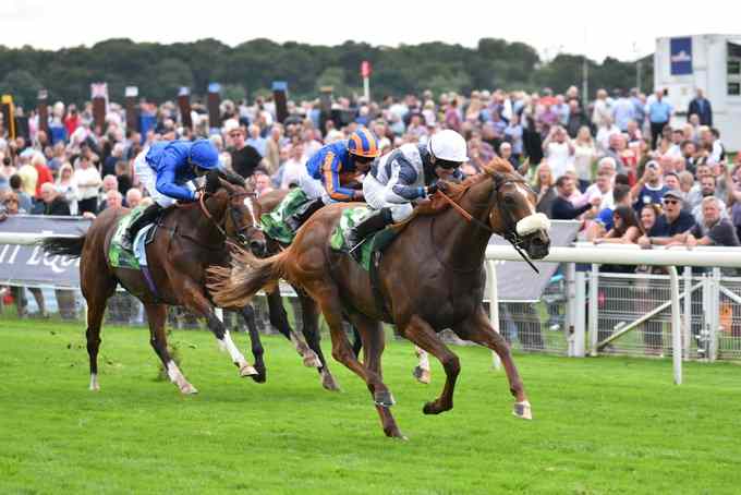 Juddmonte International runners 2026 with 15 horses remaining in contention for York's Group 1 race