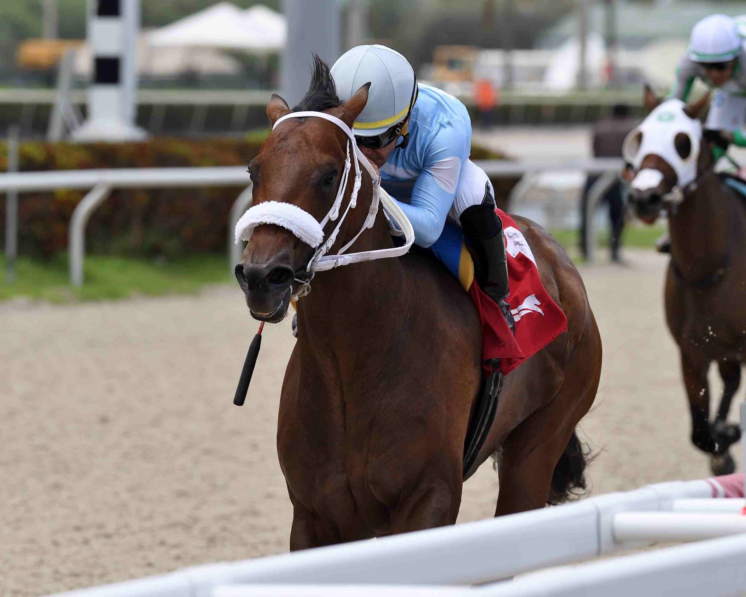 Mattingly and Extendo headline the Warrior’s Pride field at Gulfstream Park