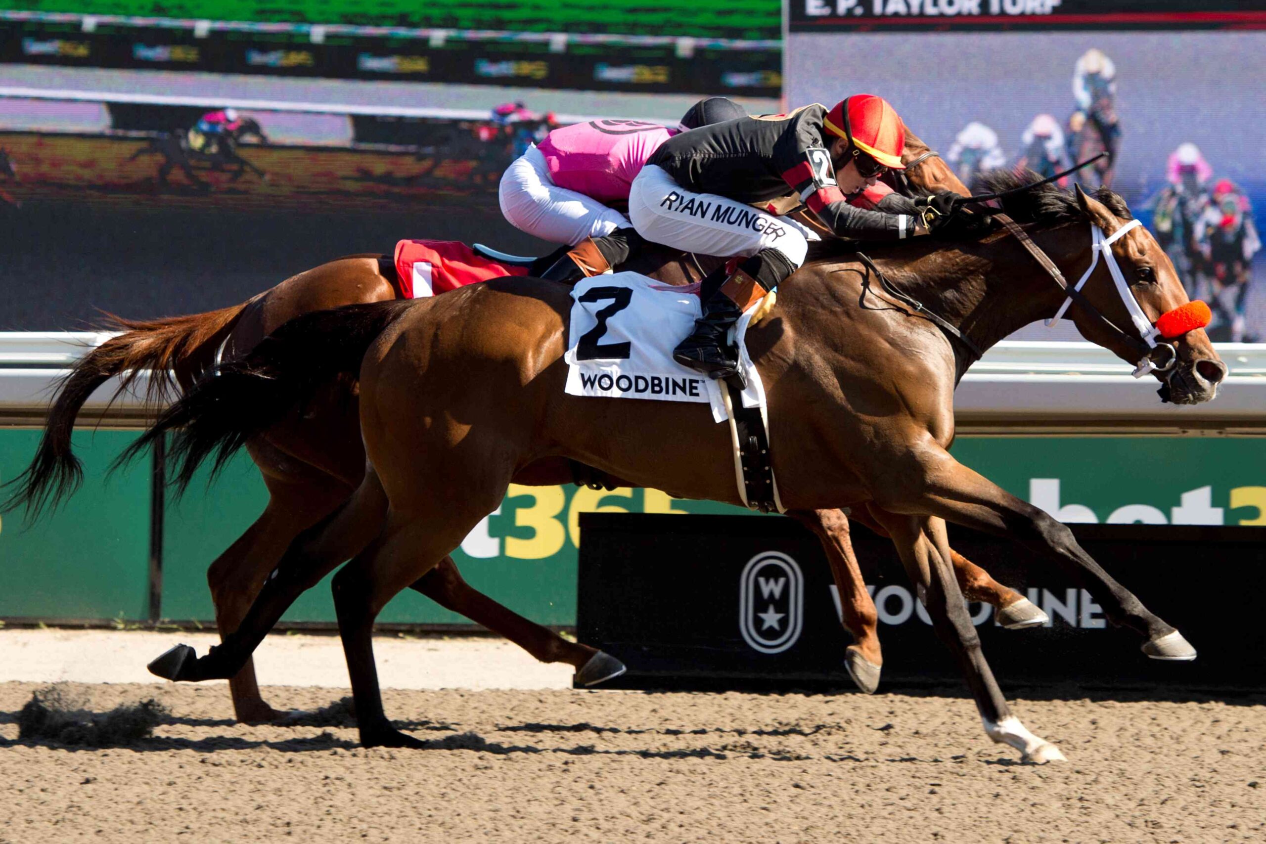 Runaway Again set for the Caledon Stakes at Woodbine