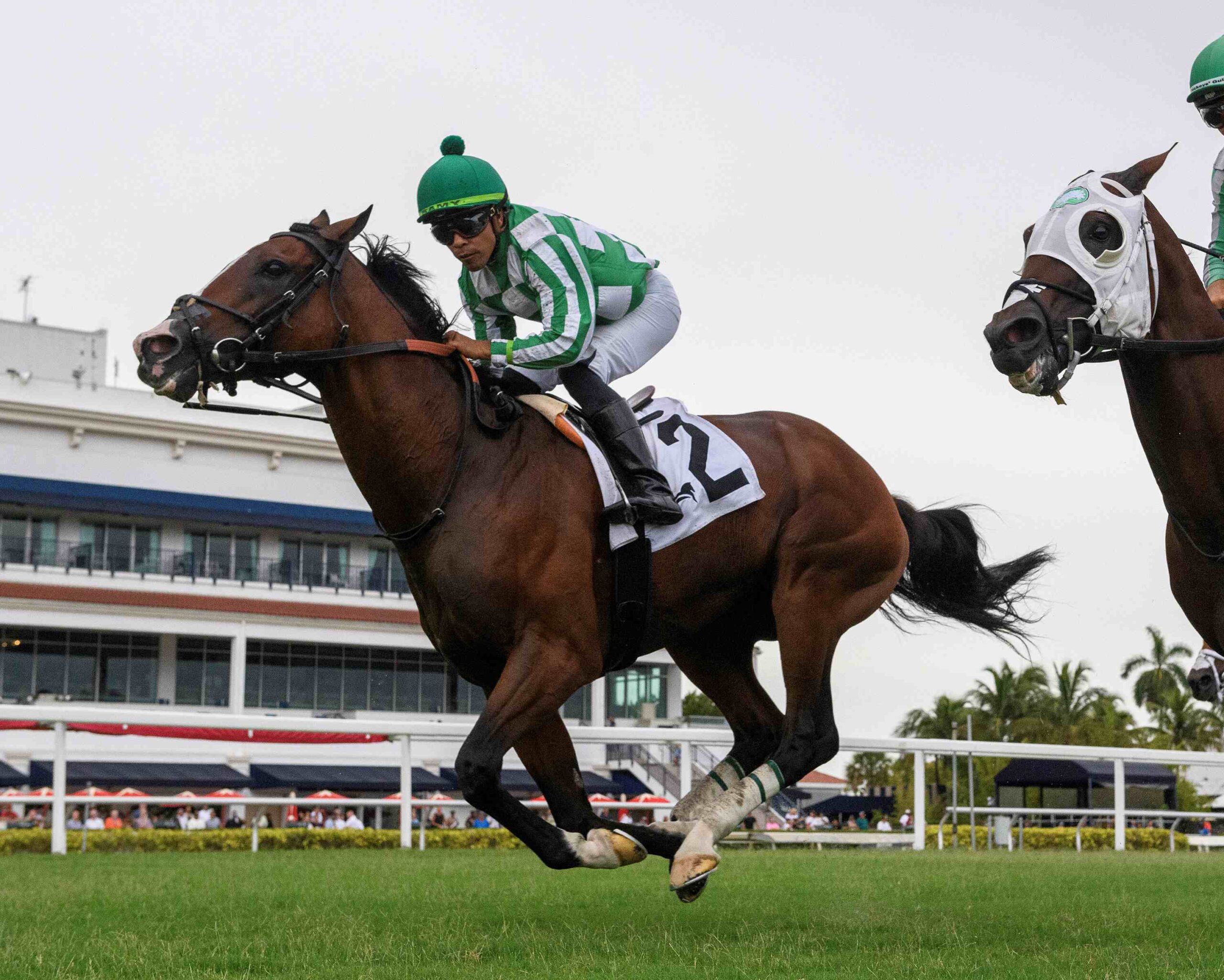 Jimmy Toner Wins 900th Race With Siege of Boston at Gulfstream