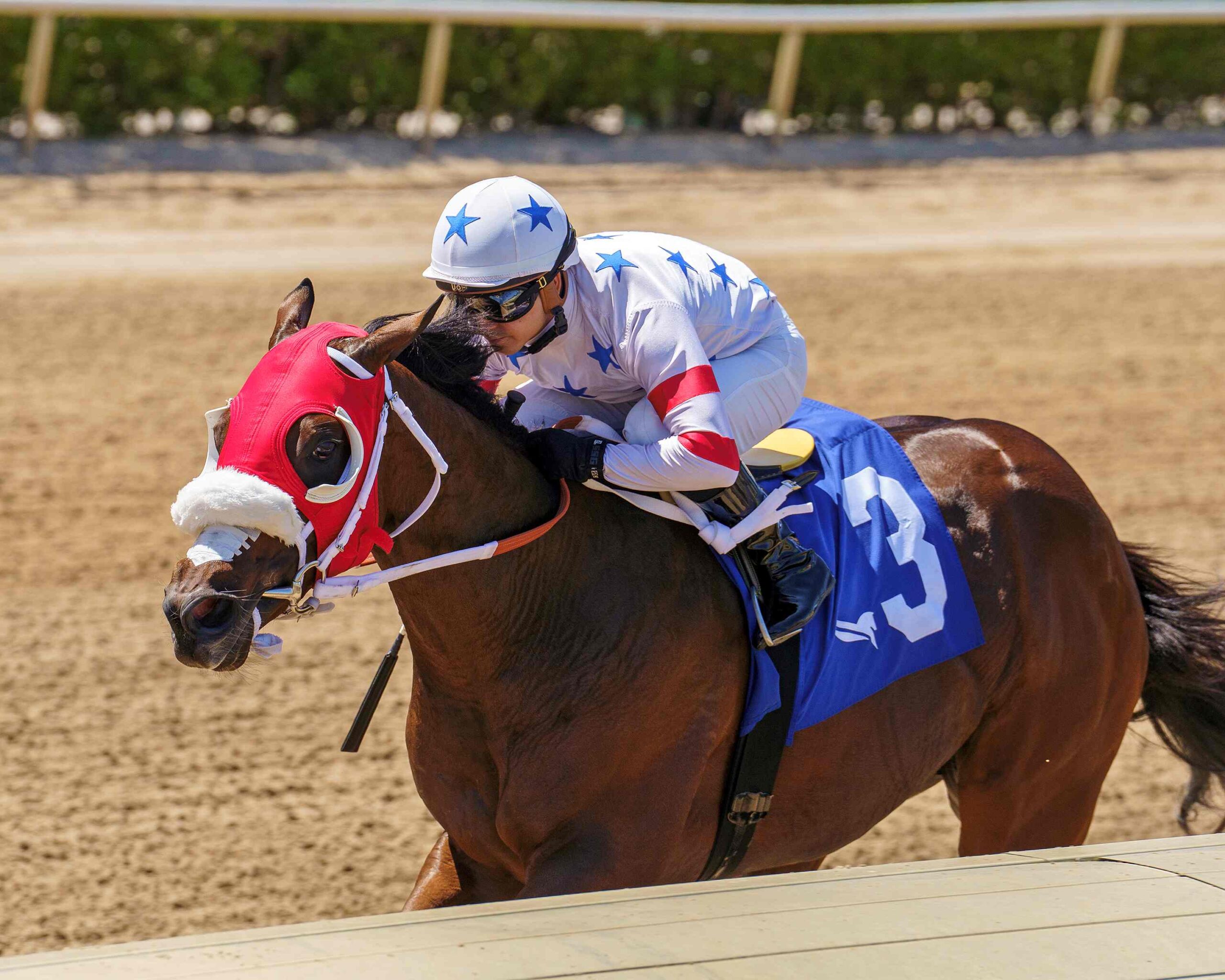 Sum of Success winning the FHBPA In Summation Stakes at Gulfstream Park