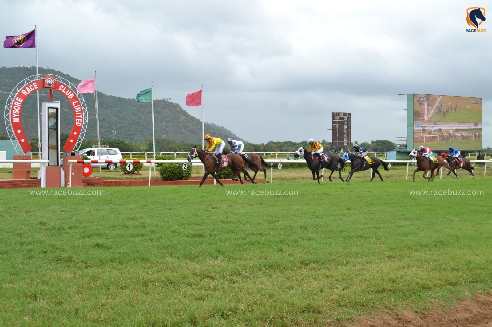 Mysore Race Club racecards 25 September 2026 Indian horse racing