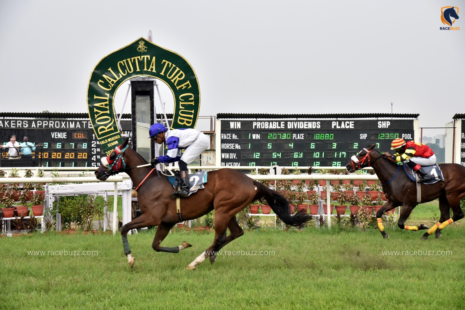 Kolkata Race Cards 6 August featuring The Adriana Plate at Royal Calcutta Turf Club