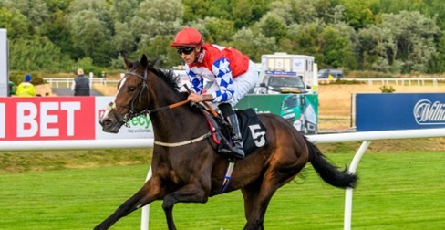 Musselburgh Race Cards 7 August preview featuring Friday's seven-race programme