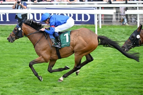 York Race Cards 19 August at York Racecourse