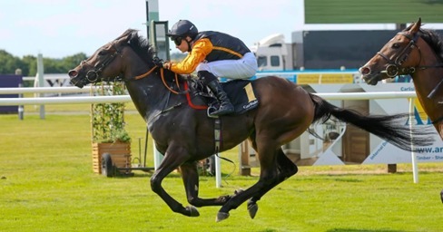Carlisle Race Cards 19 August seven-race programme at Carlisle Racecourse