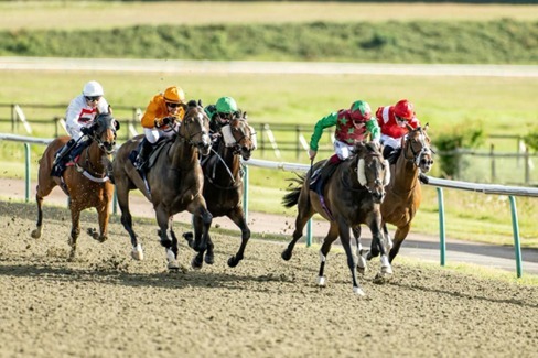 Lingfield Race Cards 8 August at Lingfield Park