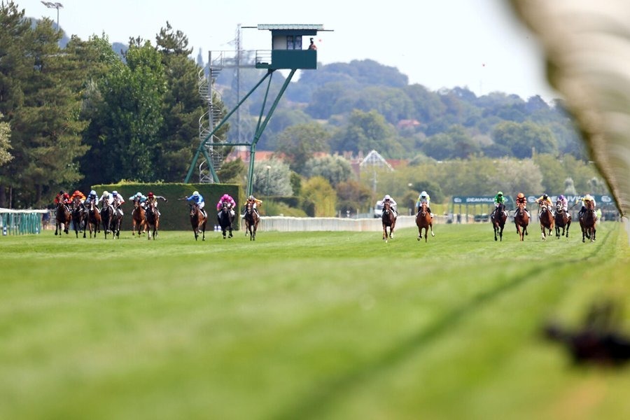 Vichy racecards 19 August 2026 racing action at Vichy Racecourse