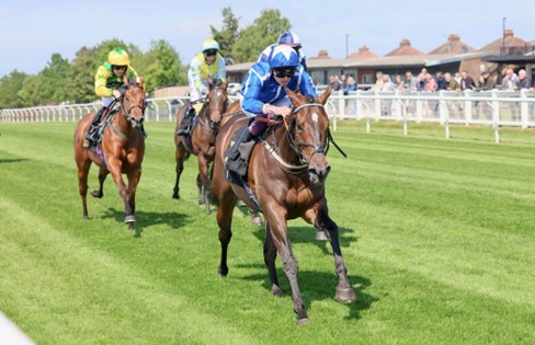 Carlisle Race Cards 11 August six-race fixture at Carlisle Racecourse