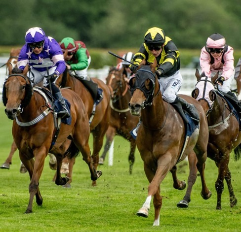 Lingfield Race Cards 11 August at Lingfield Park