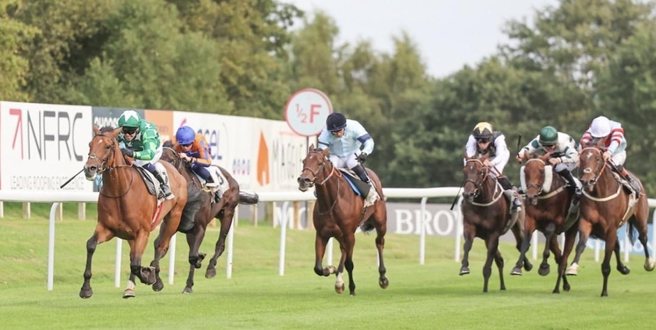 Hamilton Park Racecards 21 August 2026: Friday Racing Preview