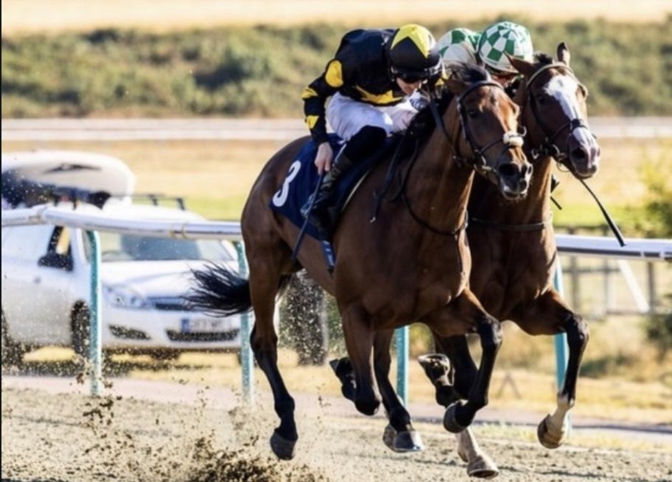 Lingfield Park racecards 18 August 2026 racing action at Lingfield Park Racecourse