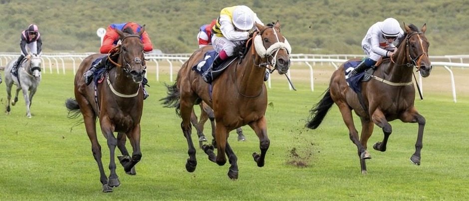 Winning horse crosses the finish line during Ffos Las racing on 4 August 2026