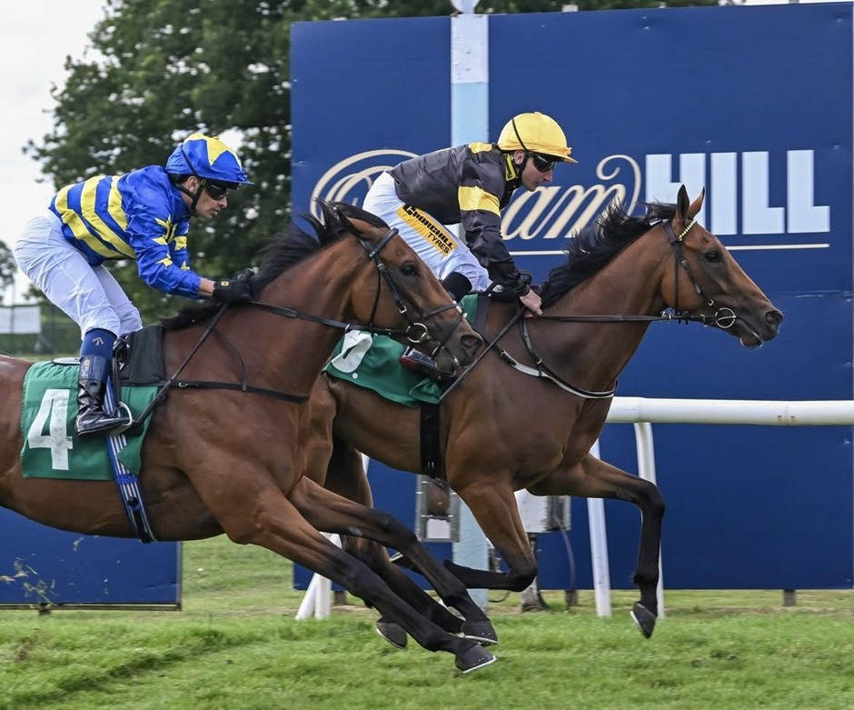 Thirsk racecards 1 August 2026 flat racing action at Thirsk Racecourse