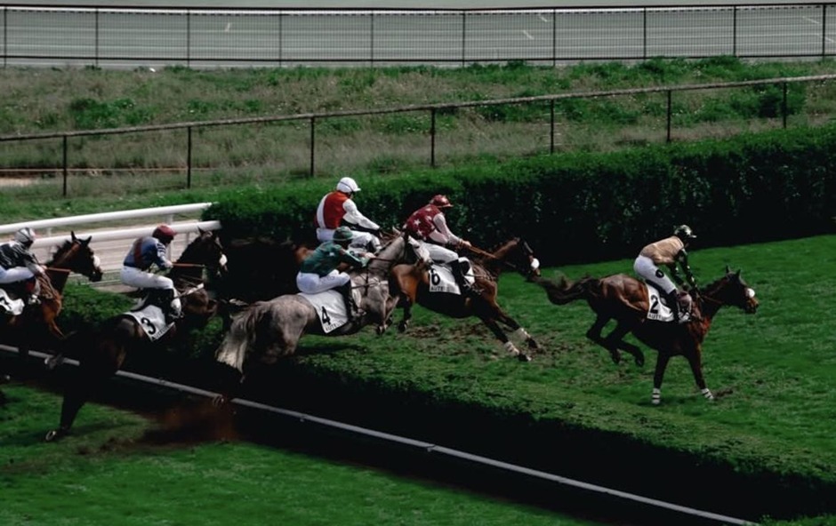 Deauville racecards 2 August 2026 flat racing action at Deauville Racecourse