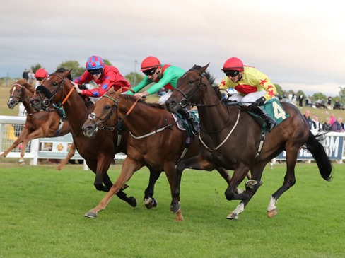Ripon Race Cards 3 August at Ripon Racecourse featuring six races