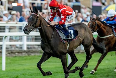 Windsor Race Cards 3 August at Windsor Racecourse featuring a six-race evening programme