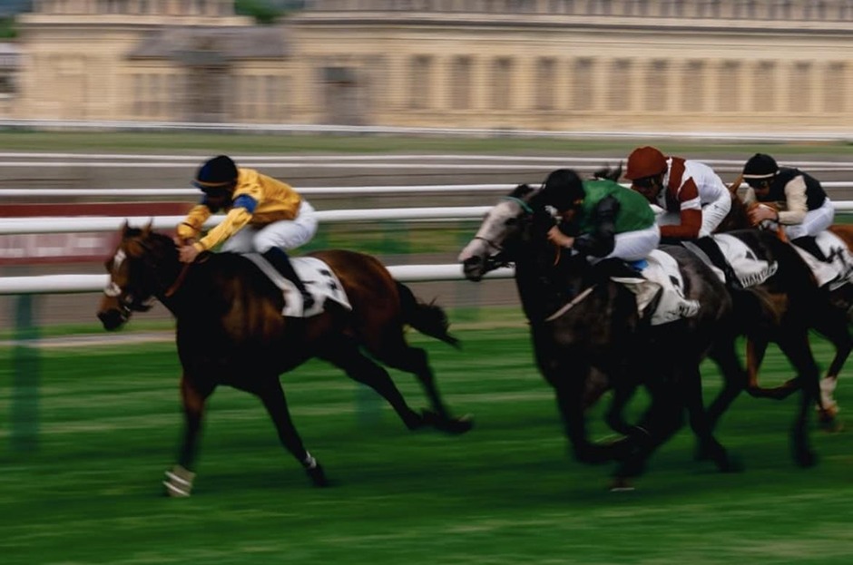 Vichy racecards 3 August 2026 flat racing action at Vichy Racecourse