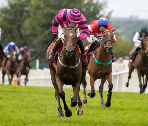 Roscommon Race Cards 4 August preview at Roscommon Racecourse
