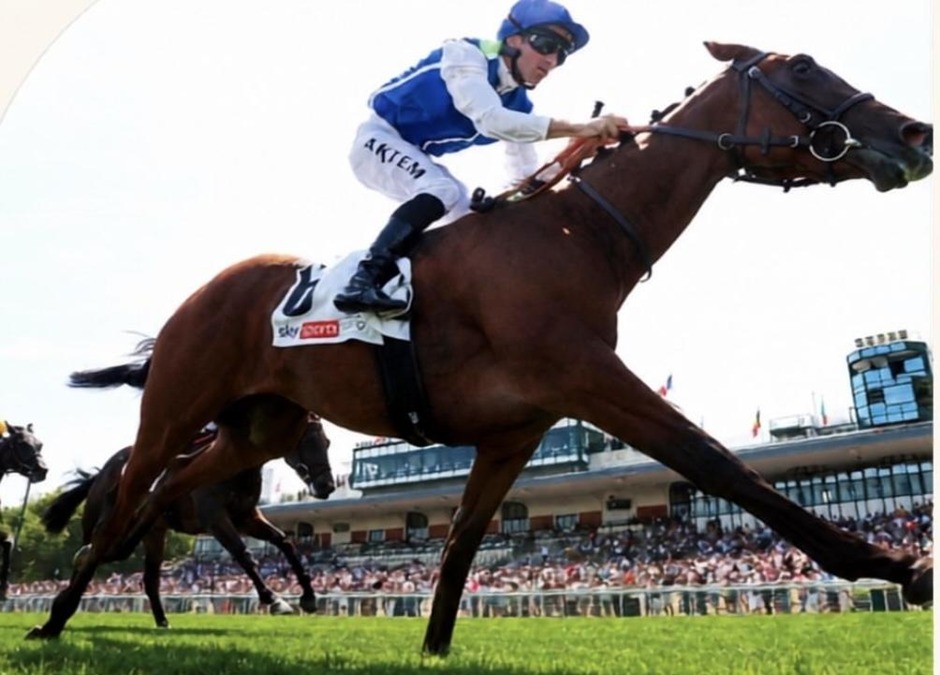 Deauville racecards 4 August 2026 flat racing action at Deauville Racecourse