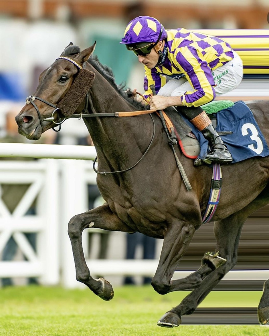Lingfield Park racecards 4 August 2026 flat racing action at Lingfield Park Racecourse