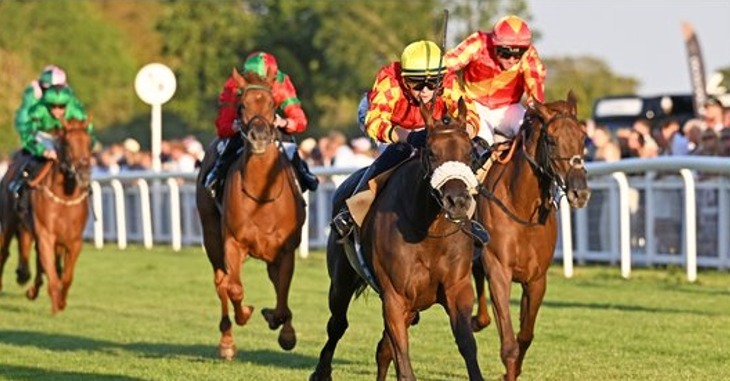 Salisbury Racecards 21 August six-race Friday meeting