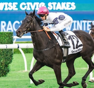 Royal Randwick Racecards 22 August 2026 featuring the Winx Stakes