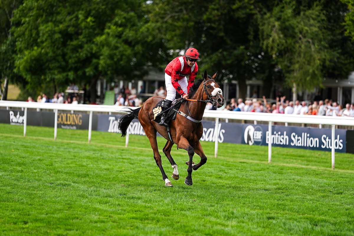 Newmarket Cambridgeshire Saturday seven-race meeting