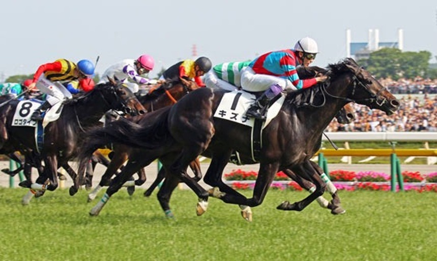 Niigata Racecards 23 August featuring the Niigata Nisai Stakes at Niigata Racecourse