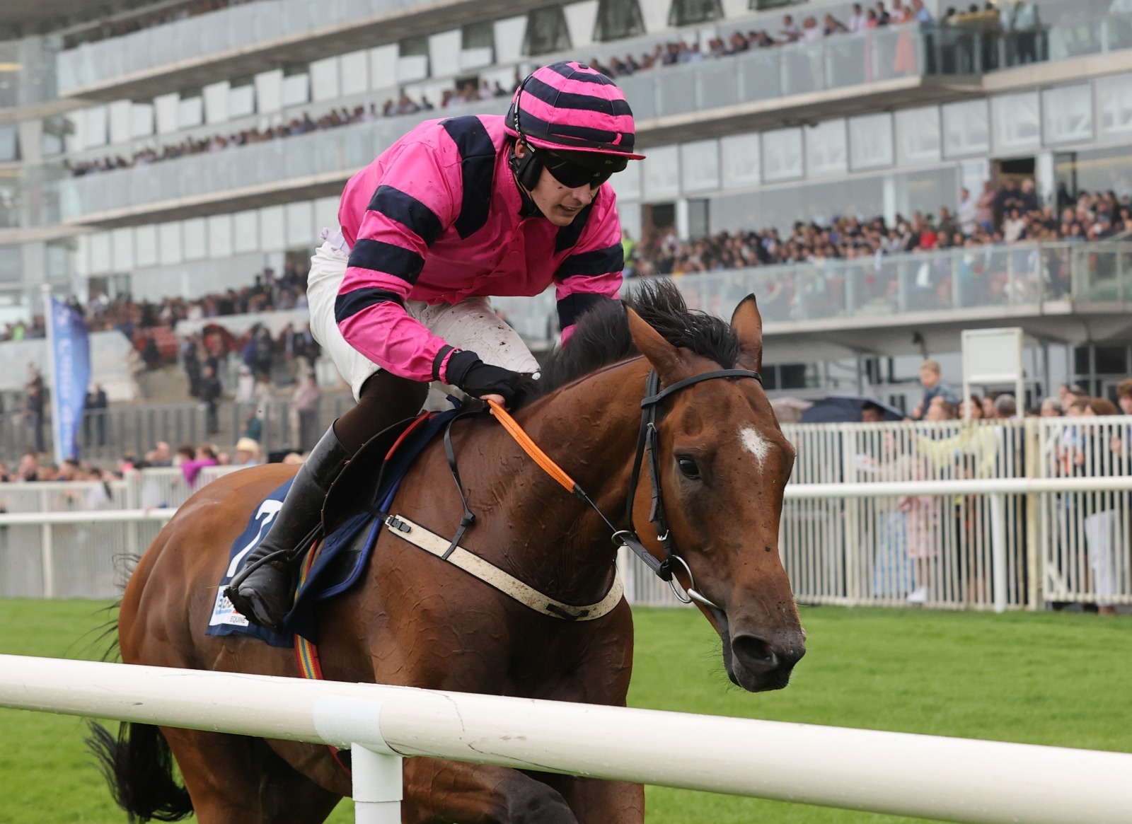 Naas Racecards 23 August seven-race meeting at Naas Racecourse