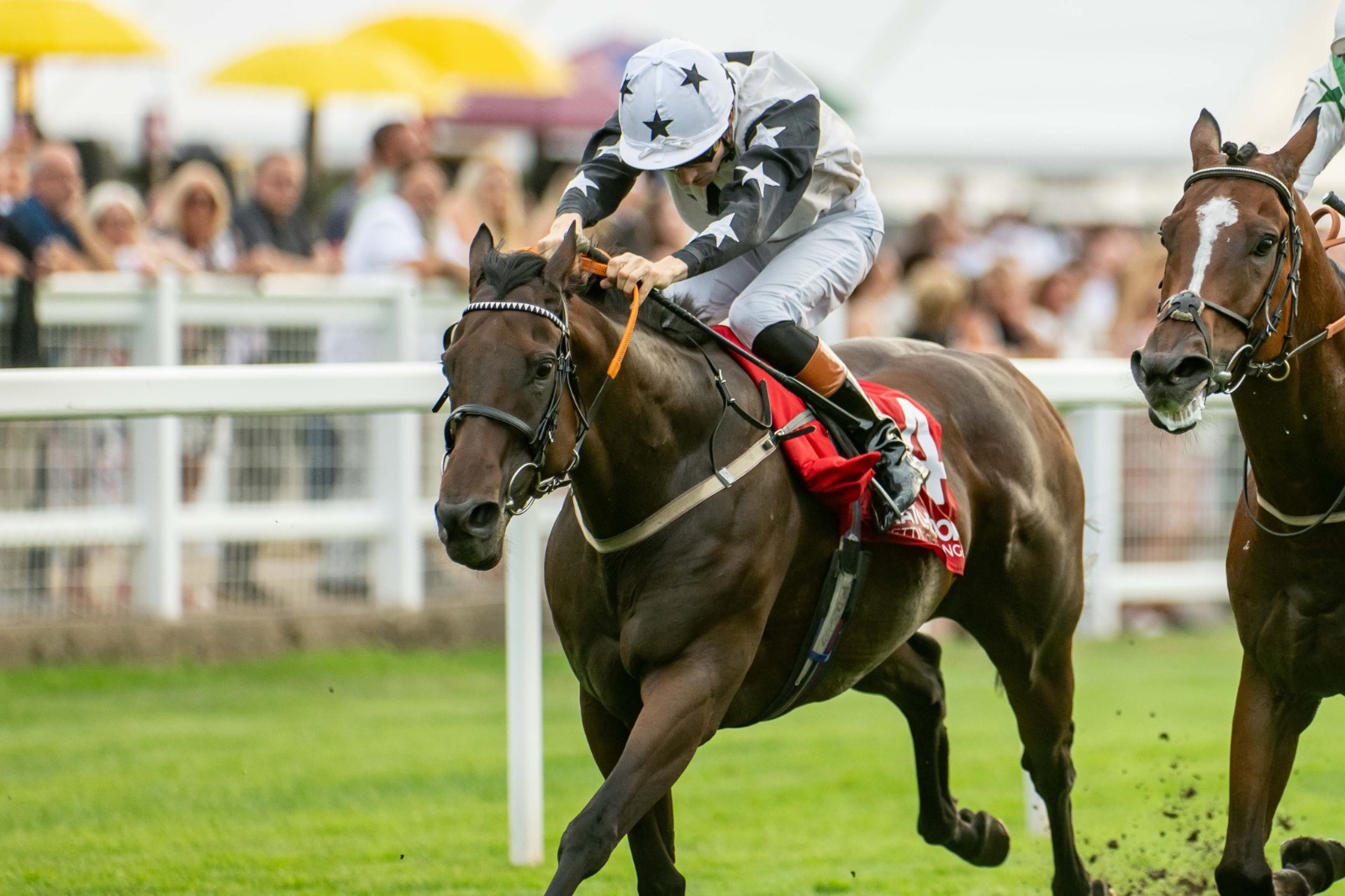 Windsor Racecards 24 August six-race evening programme
