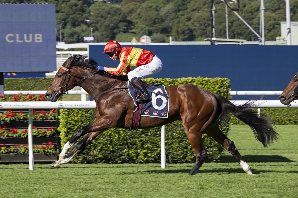 Canterbury Racecards 26 August seven-race Australian Turf Club meeting