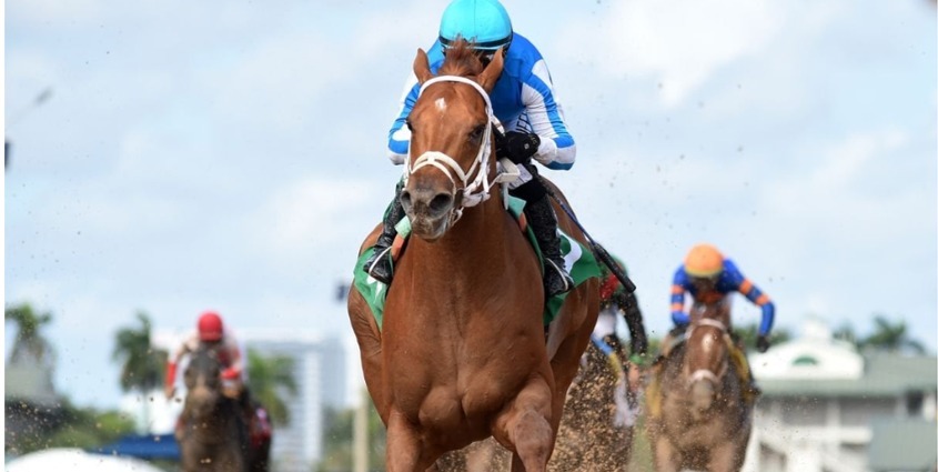 Saratoga Racecards 26 August eight-race programme at Saratoga Racecourse