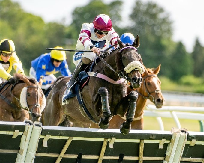 Fontwell Racecards 28 August at Fontwell Park