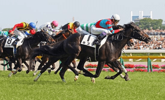 Niigata Racecards 30 August – Niigata Kinen G3