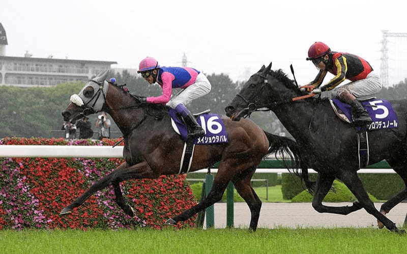 Chukyo Racecards 30 August featuring Chukyo Nisai Stakes G3