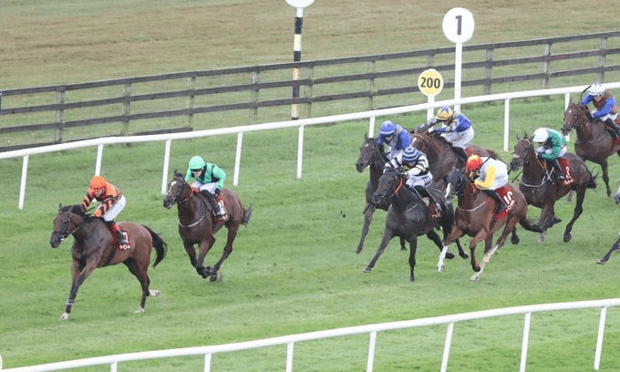 Roscommon Racecards 31 August at Roscommon Racecourse