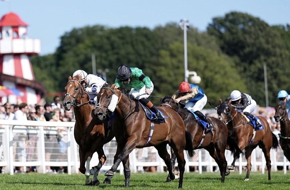 Epsom Downs racecards 31 August 2026 flat racing action at Epsom Downs Racecourse
