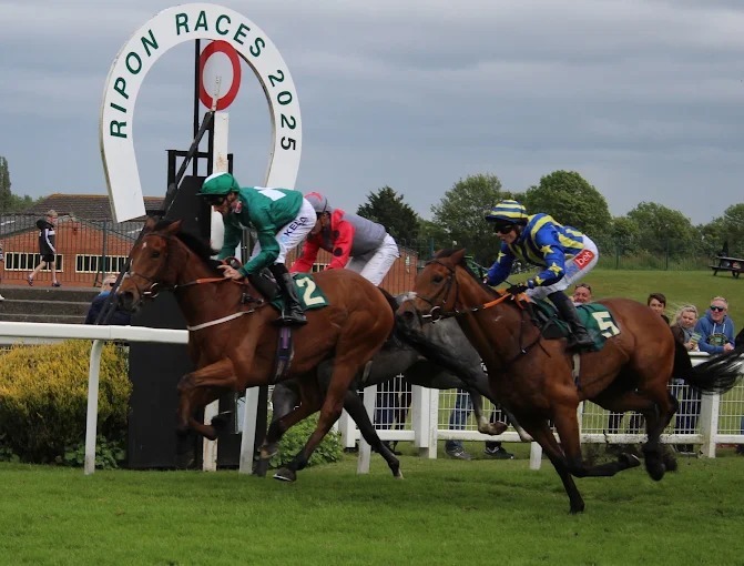 Ripon Racecards 1 September at Ripon Racecourse
