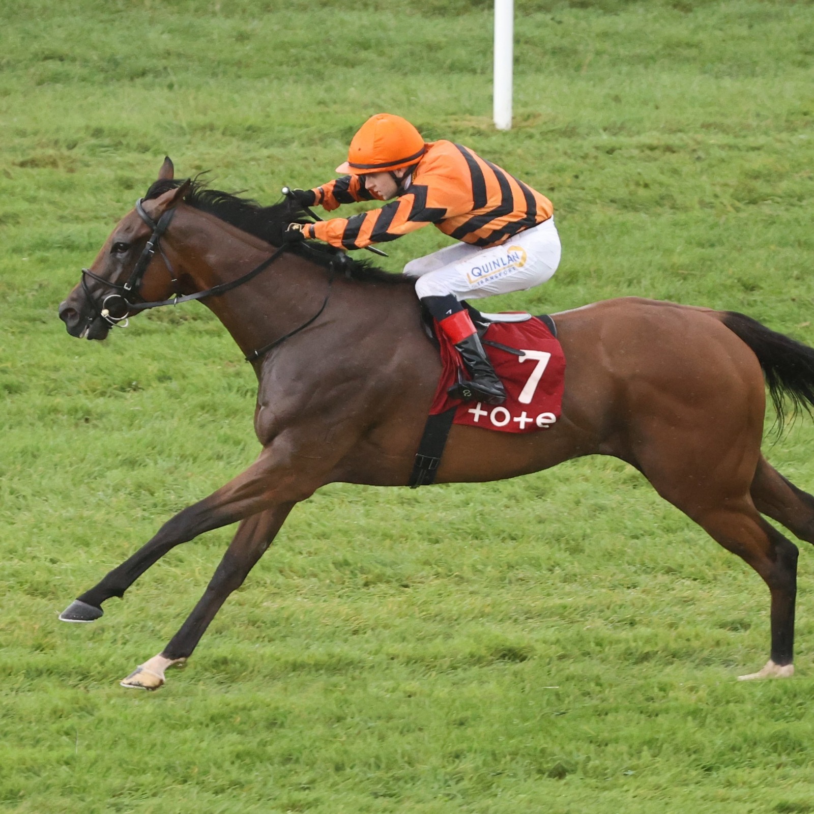 Gowran Park Racecards 1 September at Gowran Racecourse Ireland