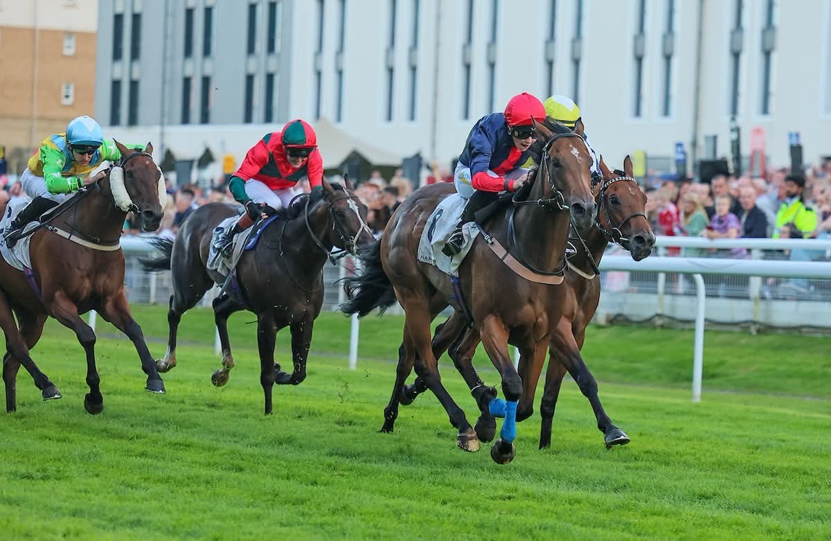 Hamilton Racecards 2 September at Hamilton Park Racecourse