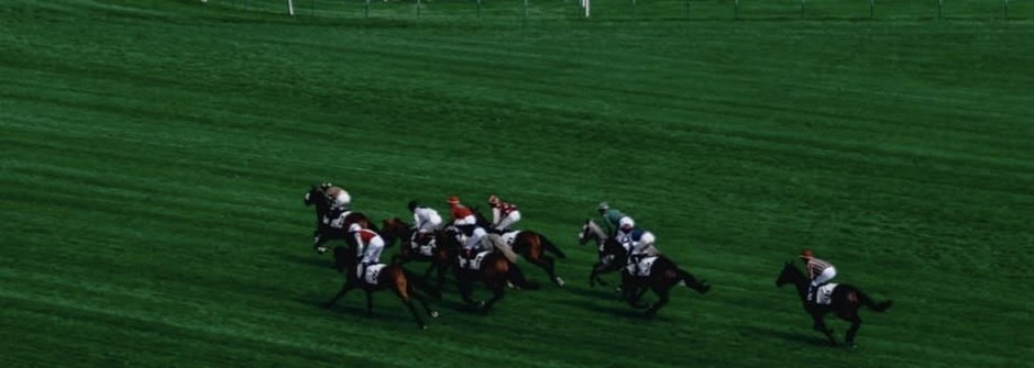 Deauville racecards 11 August 2026 flat racing action at Deauville Racecourse