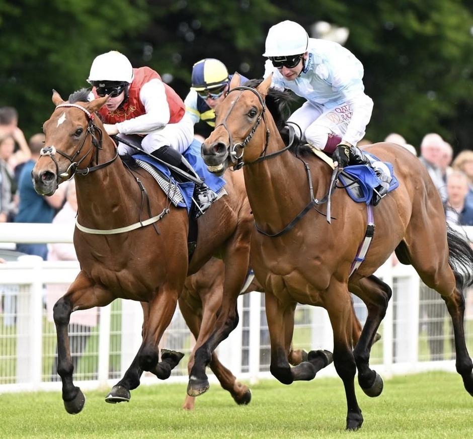 Salisbury racecards 12 August 2026 flat racing action at Salisbury Racecourse
