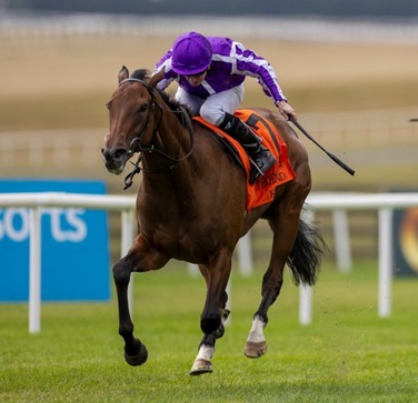 Gowran Race Cards 12 August at Gowran Park Racecourse